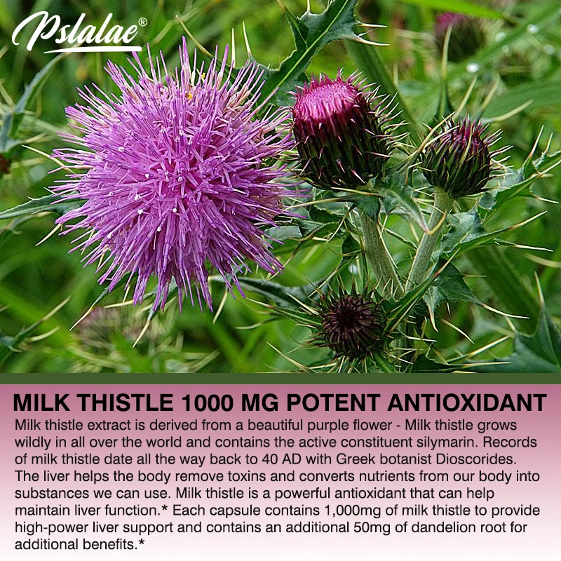 Naturalny suplement ostropestu – Milk Thistle Silymarin recenzja i cena