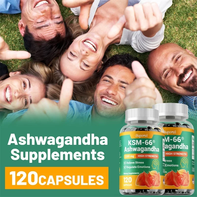 KSM-66 Ekstrakty z Ashwagandhy – Tulsi Holy Basil recenzja i cena